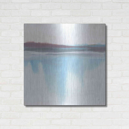 Luxe Metal Art 'Purist Cassis I' by Chris Paschke, Metal Wall Art,36x36