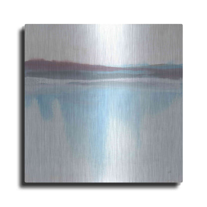 Luxe Metal Art 'Purist Cassis I' by Chris Paschke, Metal Wall Art