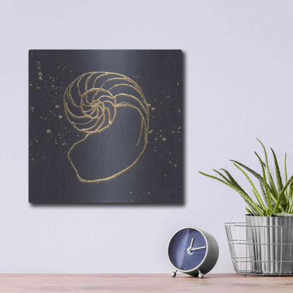 Luxe Metal Art 'Gold Nautilus II' by Chris Paschke, Metal Wall Art,12x12