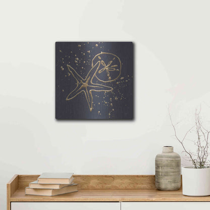 Luxe Metal Art 'Gold Sand Dollar Starfish' by Chris Paschke, Metal Wall Art,12x12