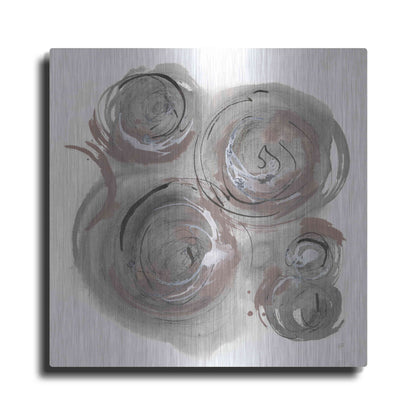 Luxe Metal Art 'In the Circle I' by Chris Paschke, Metal Wall Art
