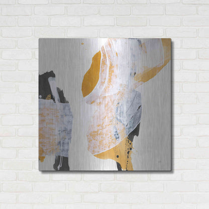 Luxe Metal Art 'Resistance II' by Chris Paschke, Metal Wall Art,36x36