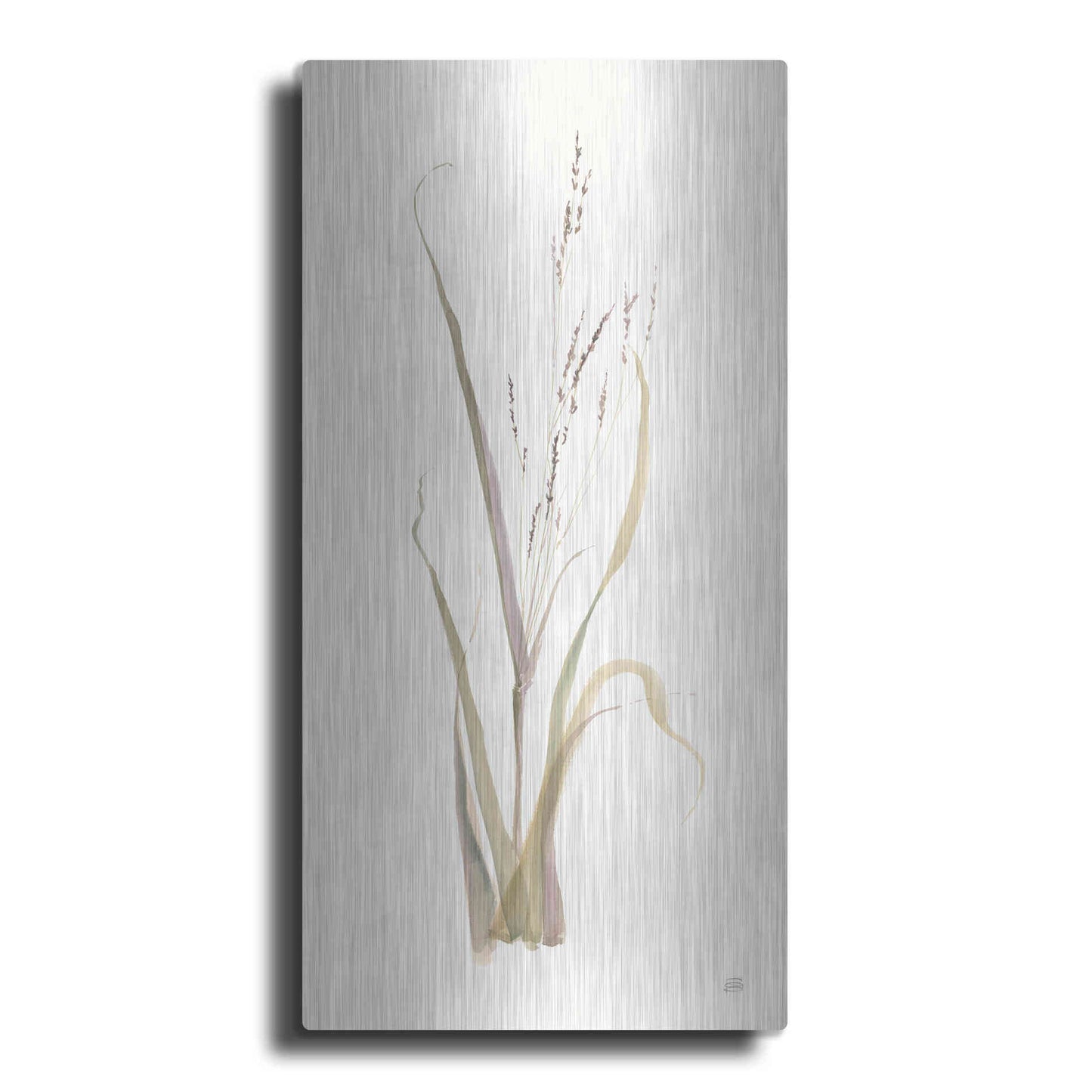 Luxe Metal Art 'Moor Grass' by Chris Paschke, Metal Wall Art,2:1 P