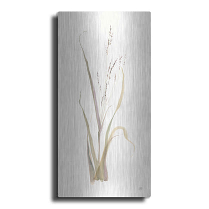Luxe Metal Art 'Moor Grass' by Chris Paschke, Metal Wall Art,2:1 P