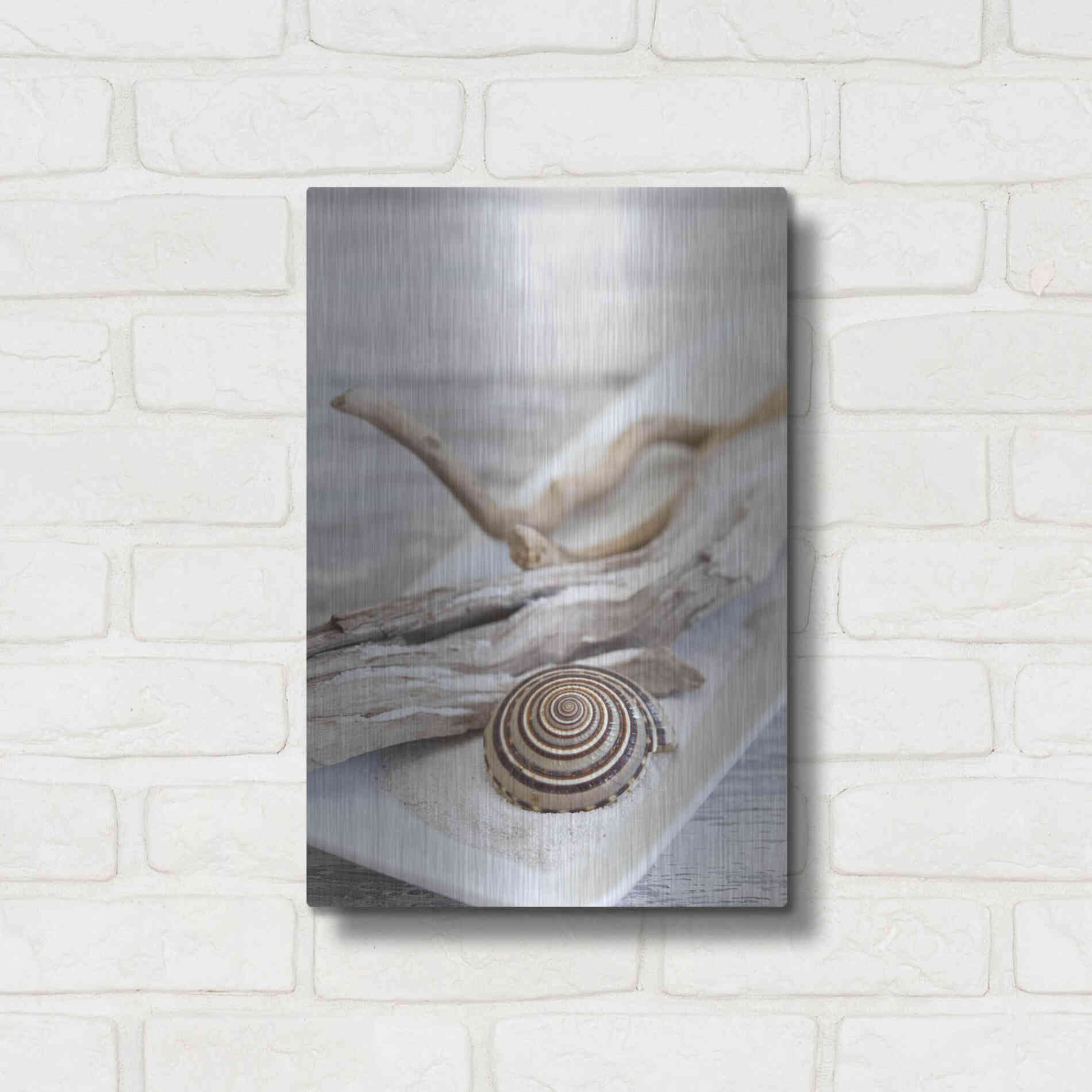 Luxe Metal Art 'Zen Style Driftwood Seashell Still' by Andrea Haase, Metal Wall At,12x16