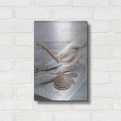 Luxe Metal Art 'Zen Style Driftwood Seashell Still' by Andrea Haase, Metal Wall At,12x16