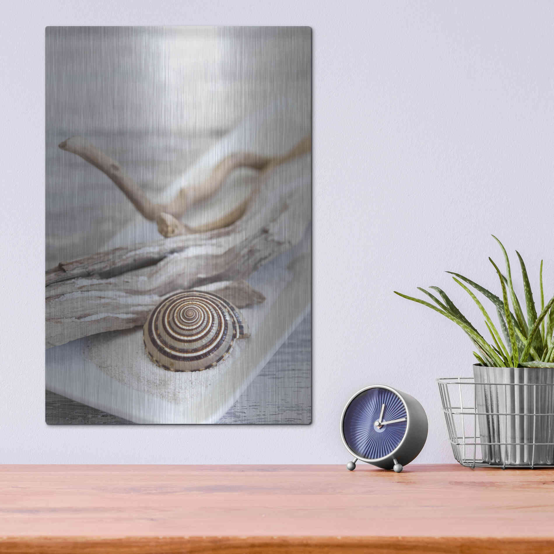 Luxe Metal Art 'Zen Style Driftwood Seashell Still' by Andrea Haase, Metal Wall At,12x16