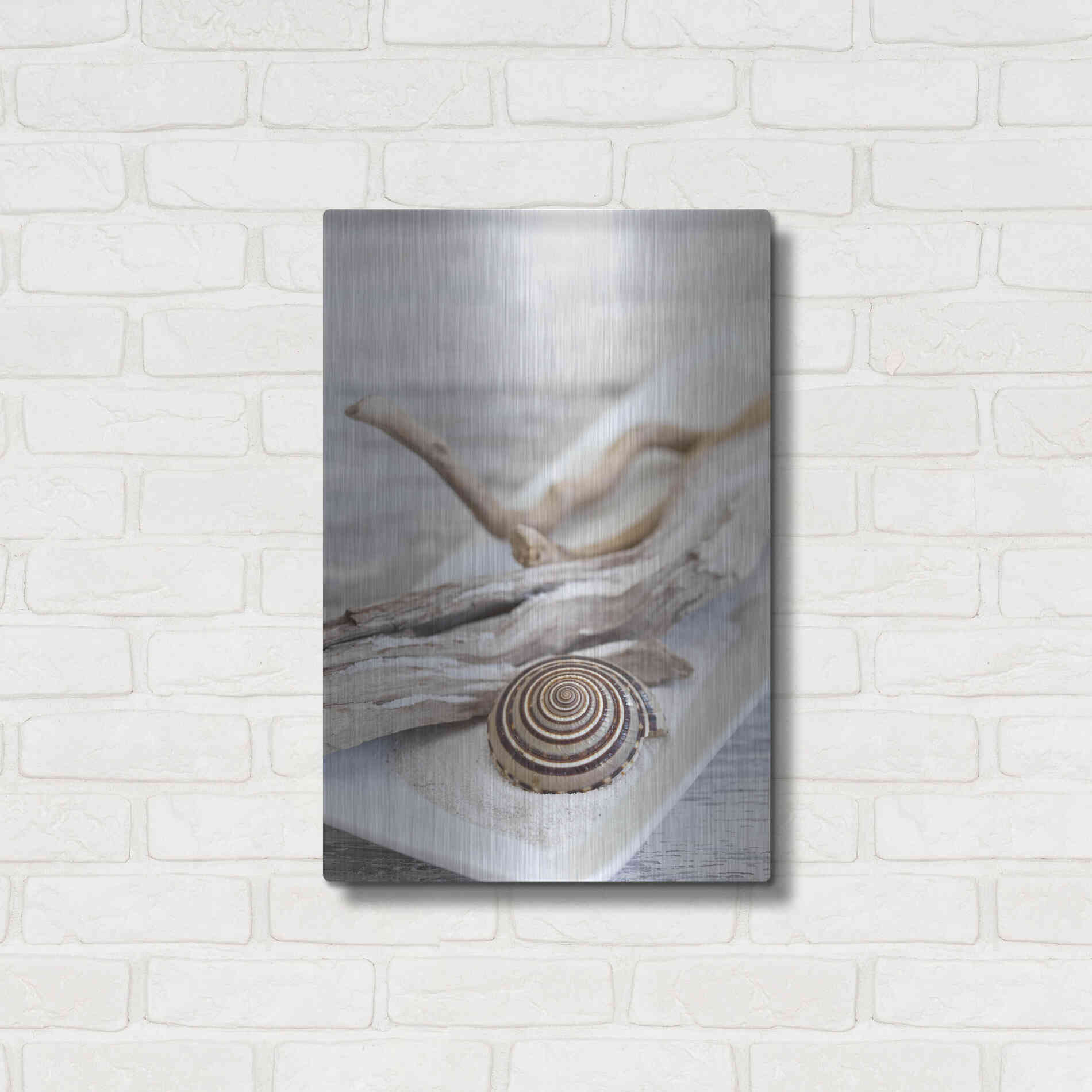 Luxe Metal Art 'Zen Style Driftwood Seashell Still' by Andrea Haase, Metal Wall At,16x24