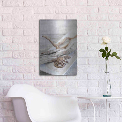 Luxe Metal Art 'Zen Style Driftwood Seashell Still' by Andrea Haase, Metal Wall At,16x24