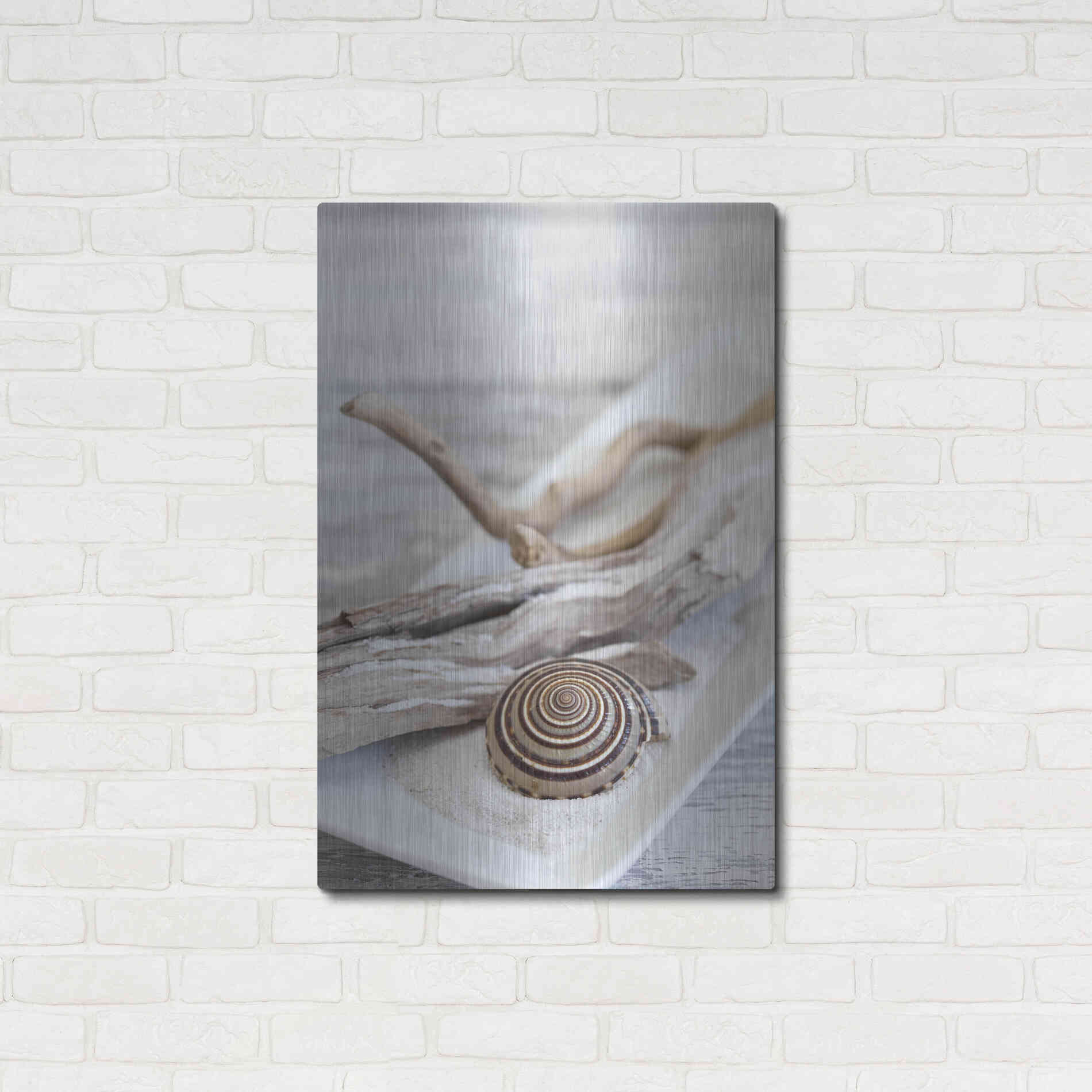 Luxe Metal Art 'Zen Style Driftwood Seashell Still' by Andrea Haase, Metal Wall At,24x36