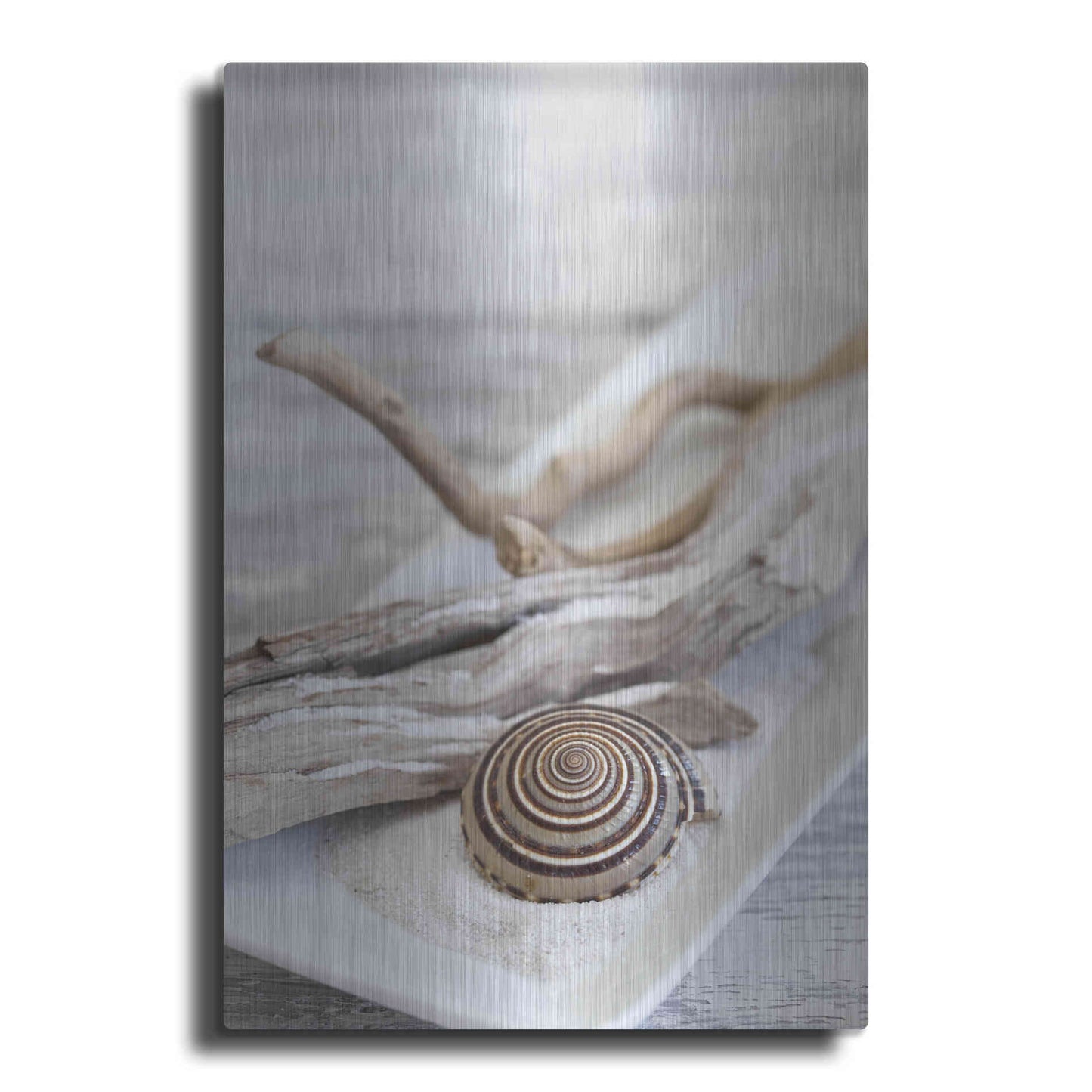 Luxe Metal Art 'Zen Style Driftwood Seashell Still' by Andrea Haase, Metal Wall At
