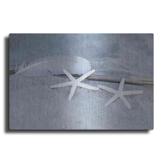 Luxe Metal Art 'Starfish Feather Beach Still' by Andrea Haase, Metal Wall At