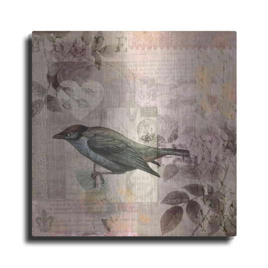 Luxe Metal Art 'Nostalgic Bird Collage' by Andrea Haase Metal Wall Art