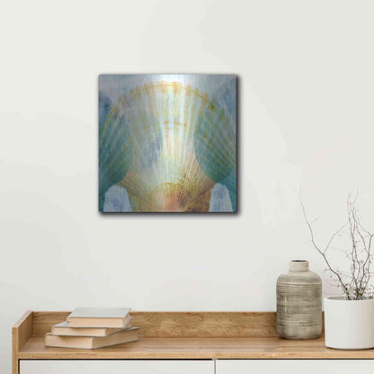 Luxe Metal Art 'Luminous Seashells 2' by Elena Ray, Metal Wall Art,12x12
