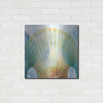 Luxe Metal Art 'Luminous Seashells 2' by Elena Ray, Metal Wall Art,24x24