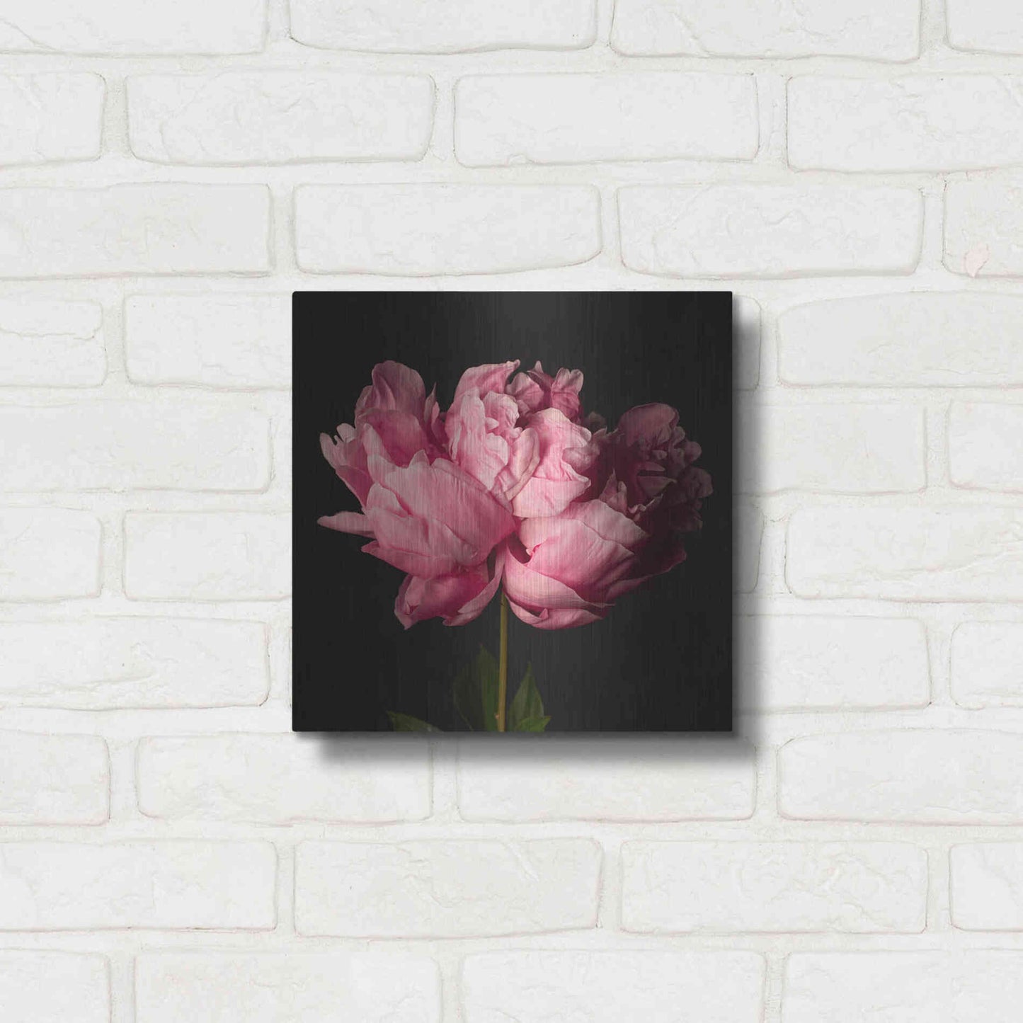 Luxe Metal Art 'Perfect Peony' by Leah McLean Metal Wall Art,12x12