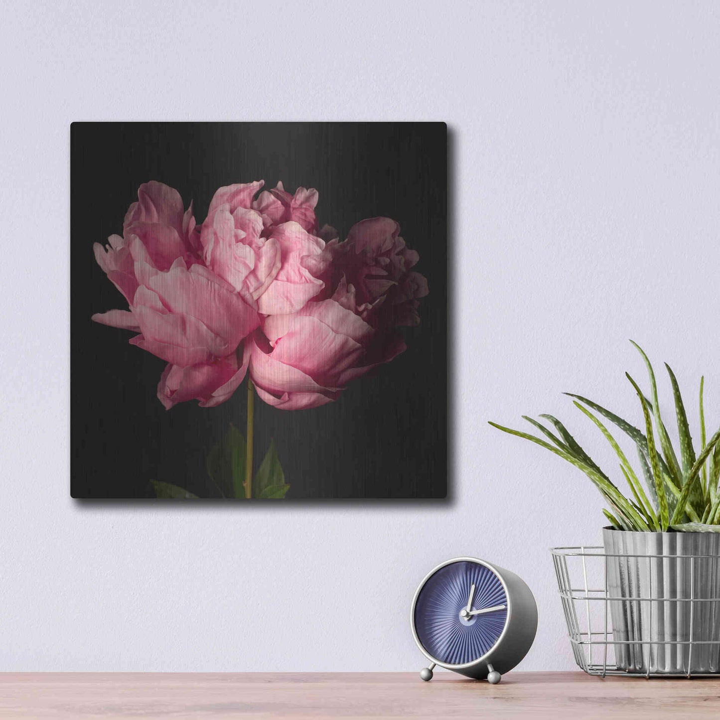 Luxe Metal Art 'Perfect Peony' by Leah McLean Metal Wall Art,12x12