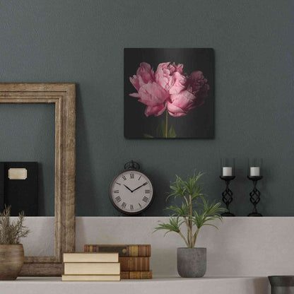 Luxe Metal Art 'Perfect Peony' by Leah McLean Metal Wall Art,12x12