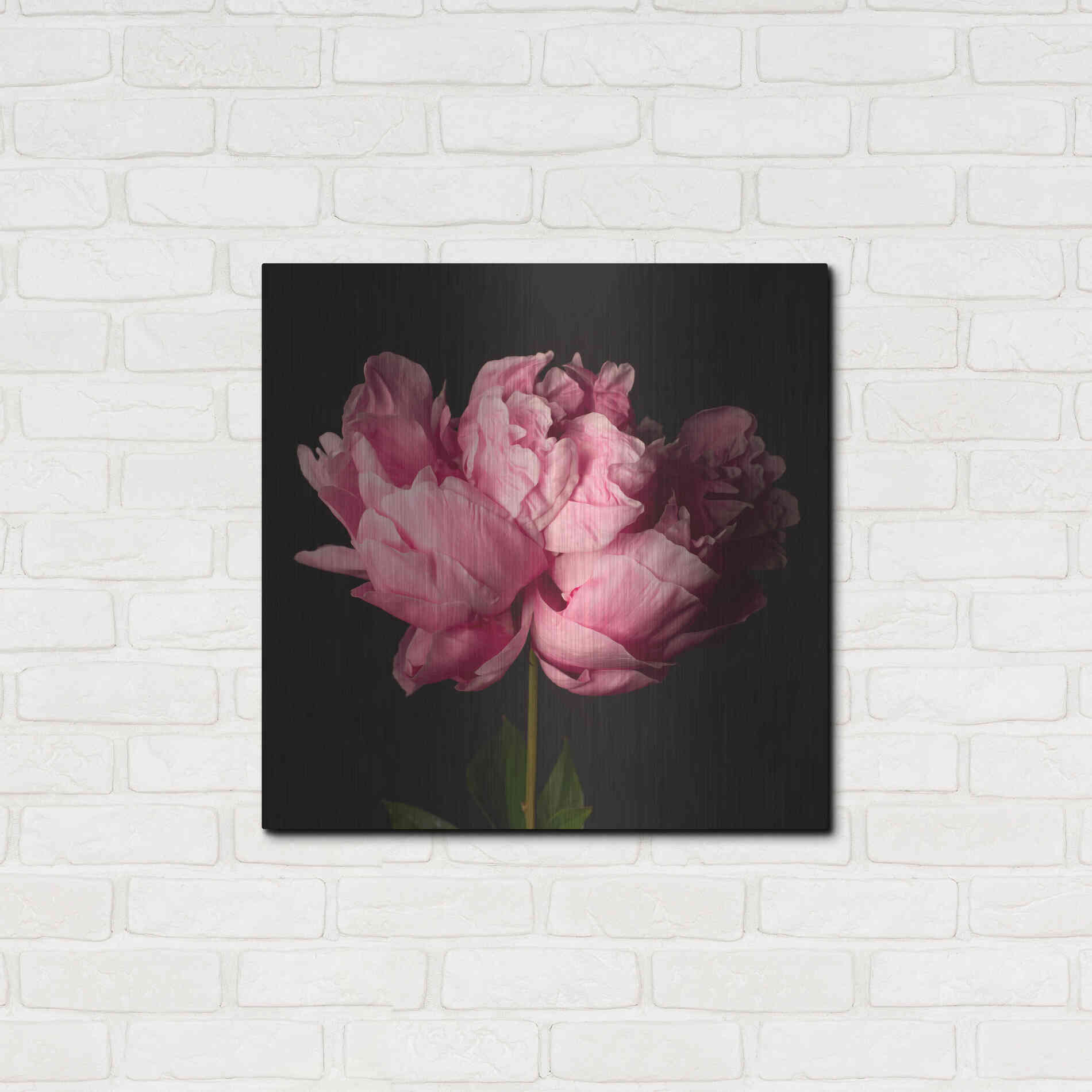 Luxe Metal Art 'Perfect Peony' by Leah McLean Metal Wall Art,24x24