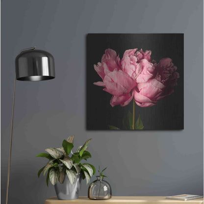 Luxe Metal Art 'Perfect Peony' by Leah McLean Metal Wall Art,24x24