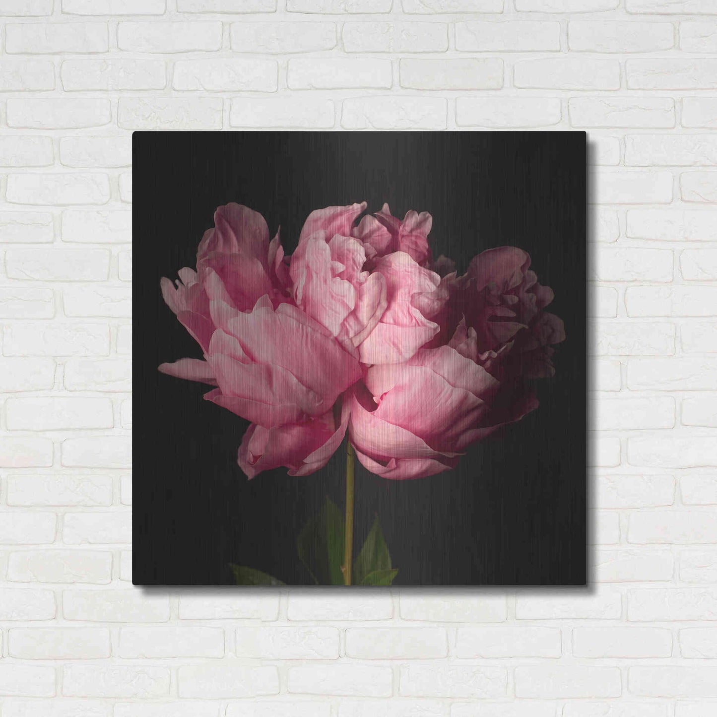 Luxe Metal Art 'Perfect Peony' by Leah McLean Metal Wall Art,36x36