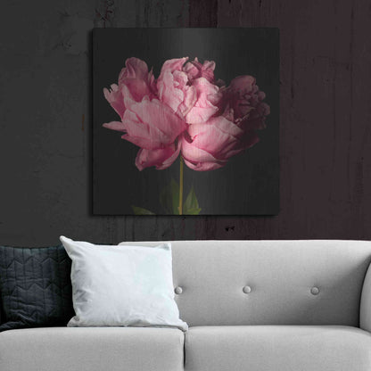 Luxe Metal Art 'Perfect Peony' by Leah McLean Metal Wall Art,36x36