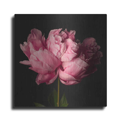 Luxe Metal Art 'Perfect Peony' by Leah McLean Metal Wall Art