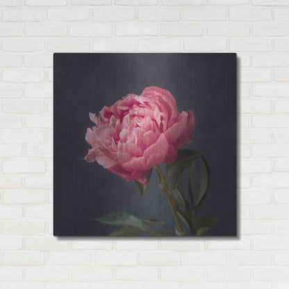 Luxe Metal Art 'Perfectly Pink' by Leah McLean Metal Wall Art,36x36