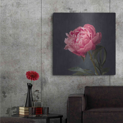 Luxe Metal Art 'Perfectly Pink' by Leah McLean Metal Wall Art,36x36