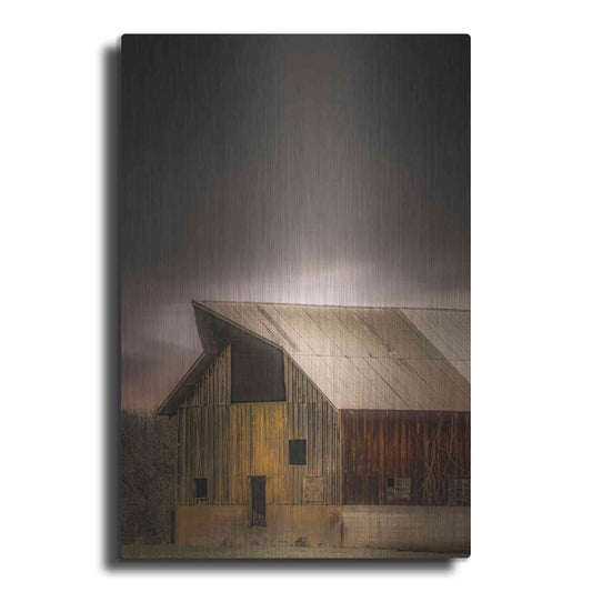 Luxe Metal Art  'Rustic'  by Don Schwartz, Metal Wall Art