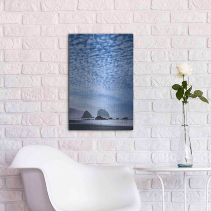 Luxe Metal Art  'Coatal Glow'  by Don Schwartz, Metal Wall Art,16x24