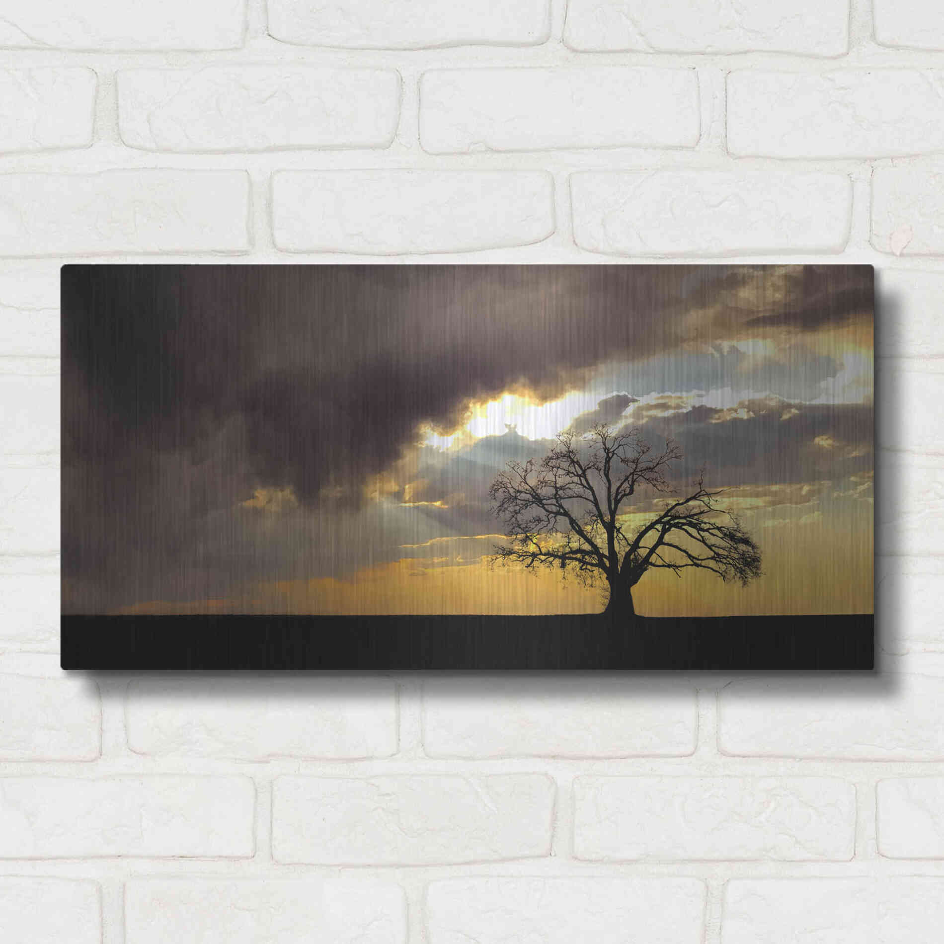 Luxe Metal Art  'Lone Tree In The Morning Light'  by Don Schwartz, Metal Wall Art,24x12