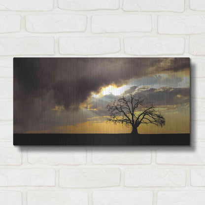 Luxe Metal Art  'Lone Tree In The Morning Light'  by Don Schwartz, Metal Wall Art,24x12