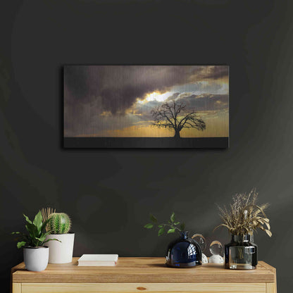 Luxe Metal Art  'Lone Tree In The Morning Light'  by Don Schwartz, Metal Wall Art,24x12