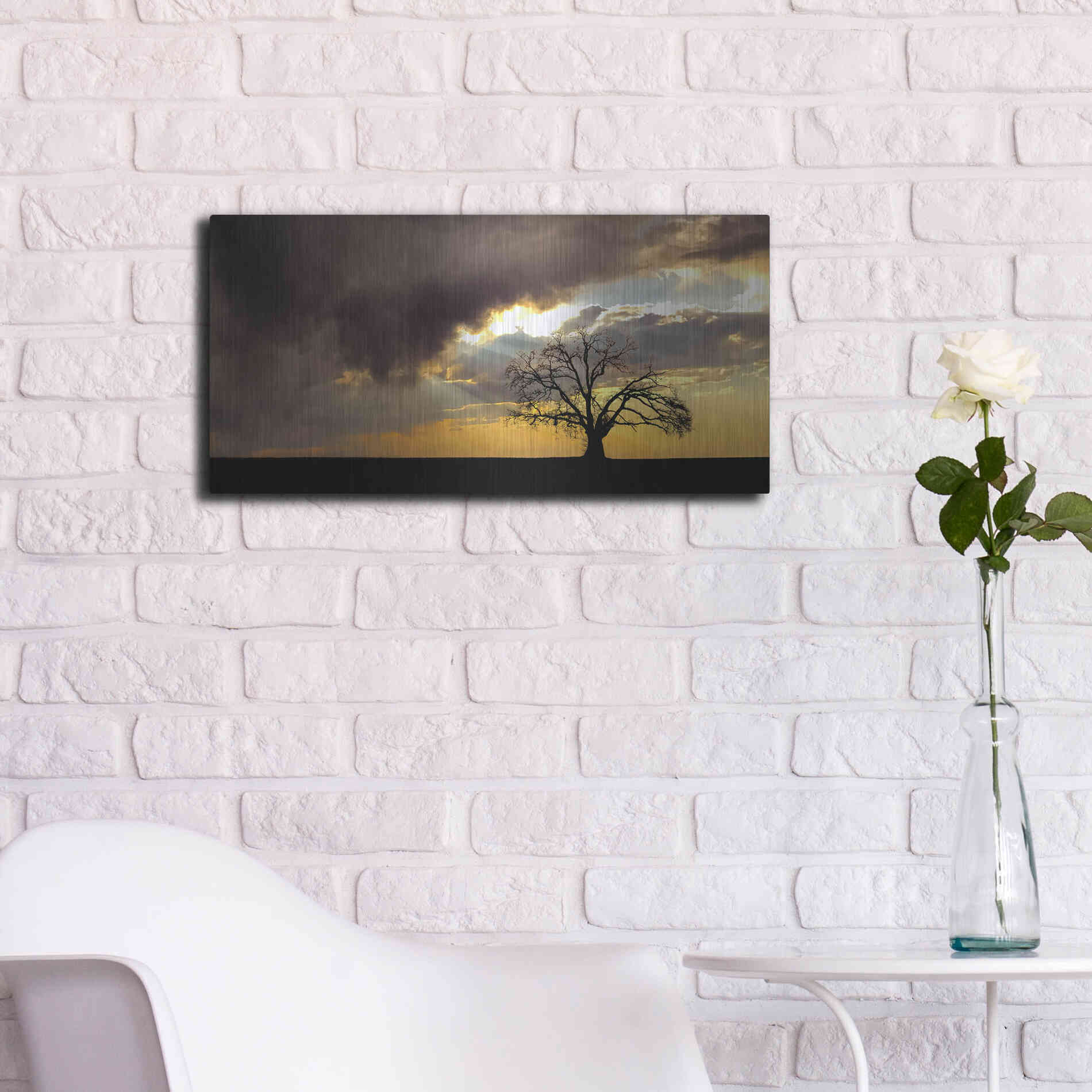 Luxe Metal Art  'Lone Tree In The Morning Light'  by Don Schwartz, Metal Wall Art,24x12