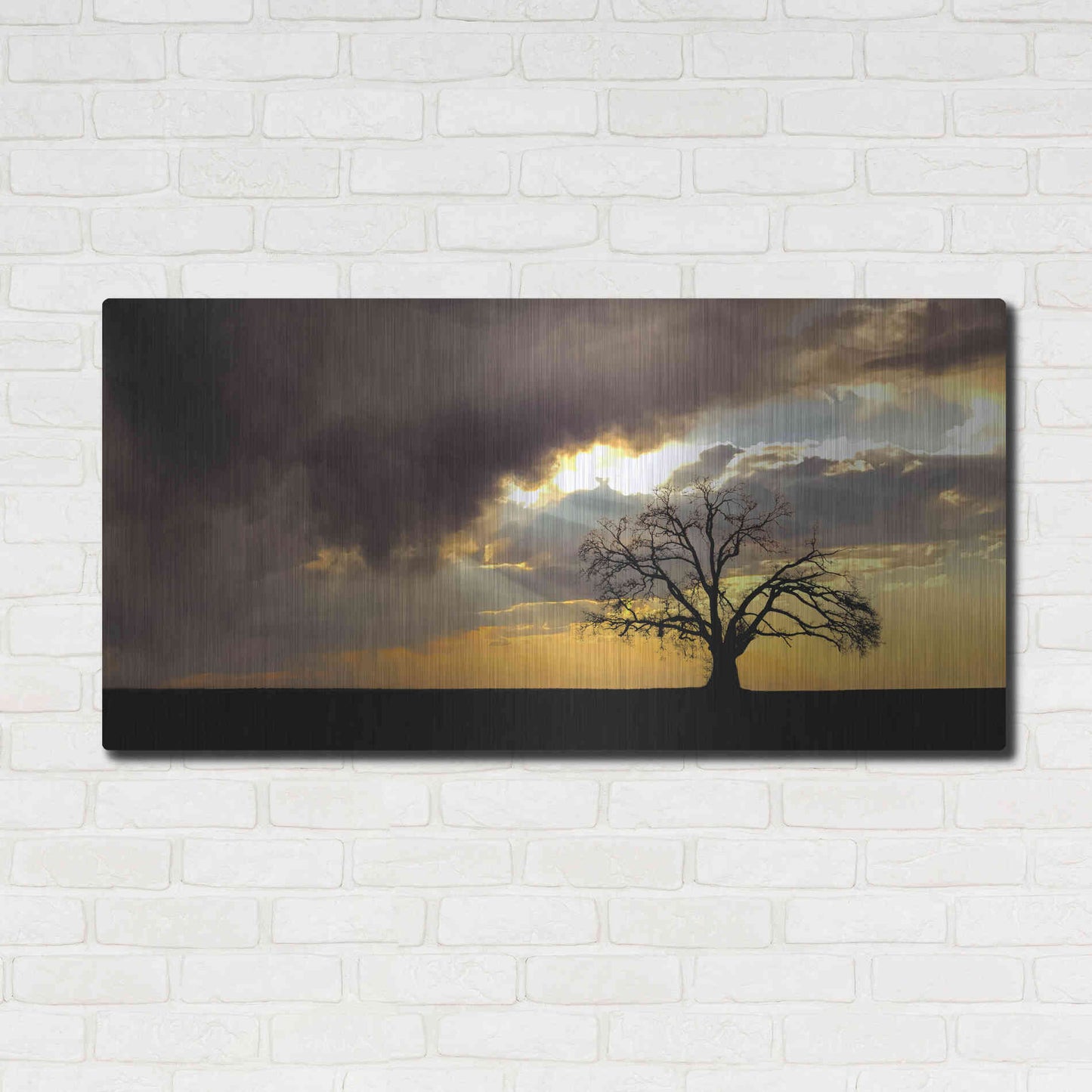 Luxe Metal Art  'Lone Tree In The Morning Light'  by Don Schwartz, Metal Wall Art,48x24