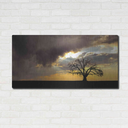 Luxe Metal Art  'Lone Tree In The Morning Light'  by Don Schwartz, Metal Wall Art,48x24