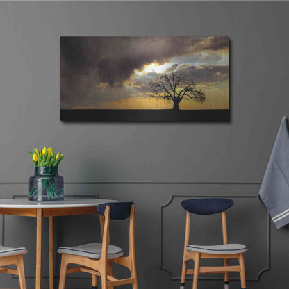 Luxe Metal Art  'Lone Tree In The Morning Light'  by Don Schwartz, Metal Wall Art,48x24