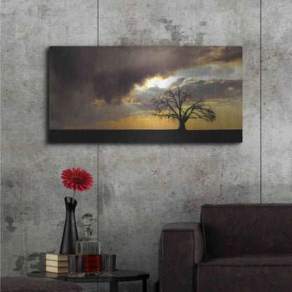 Luxe Metal Art  'Lone Tree In The Morning Light'  by Don Schwartz, Metal Wall Art,48x24