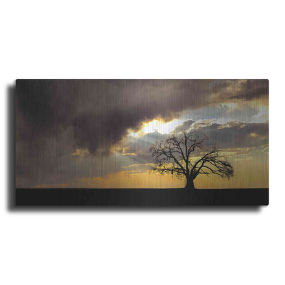 Luxe Metal Art  'Lone Tree In The Morning Light'  by Don Schwartz, Metal Wall Art