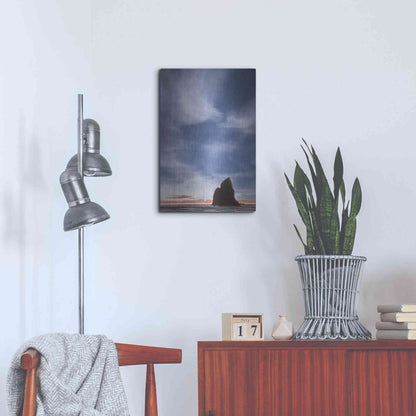 Luxe Metal Art  'The Needle'  by Don Schwartz, Metal Wall Art,16x24