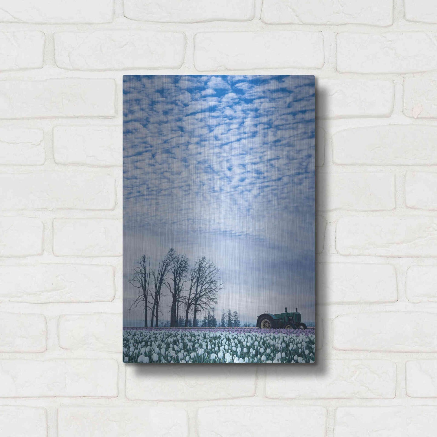 Luxe Metal Art  'Tractor Surrounded By Tulips'  by Don Schwartz, Metal Wall Art,12x16