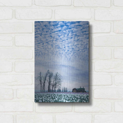 Luxe Metal Art  'Tractor Surrounded By Tulips'  by Don Schwartz, Metal Wall Art,12x16