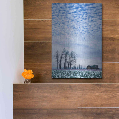 Luxe Metal Art  'Tractor Surrounded By Tulips'  by Don Schwartz, Metal Wall Art,12x16