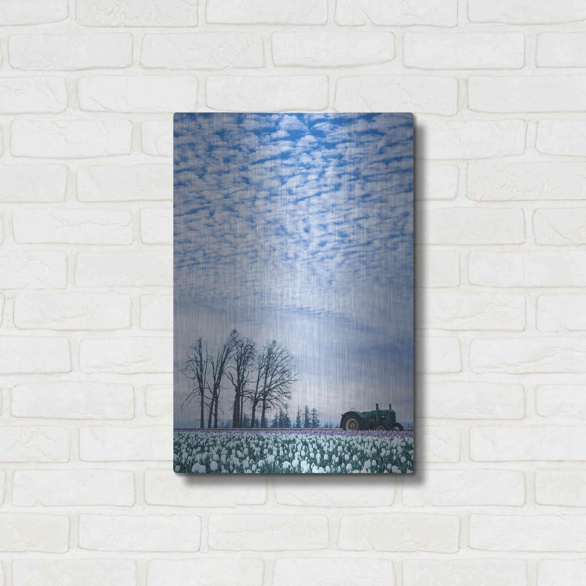 Luxe Metal Art  'Tractor Surrounded By Tulips'  by Don Schwartz, Metal Wall Art,16x24