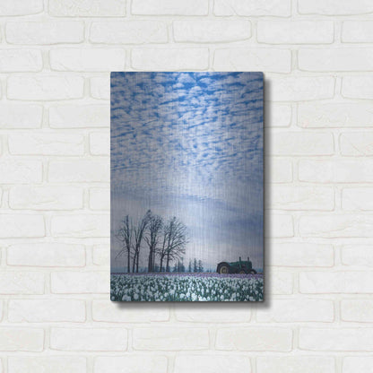 Luxe Metal Art  'Tractor Surrounded By Tulips'  by Don Schwartz, Metal Wall Art,16x24