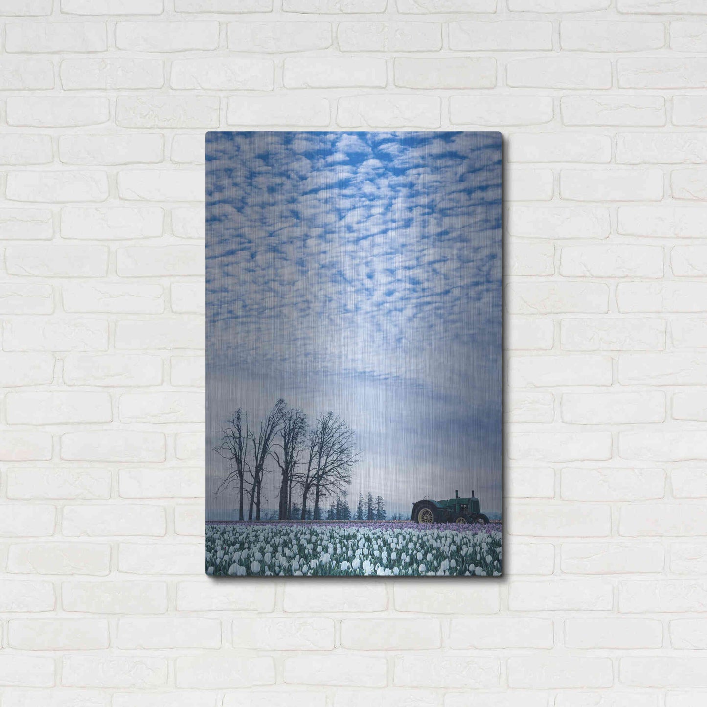 Luxe Metal Art  'Tractor Surrounded By Tulips'  by Don Schwartz, Metal Wall Art,24x36