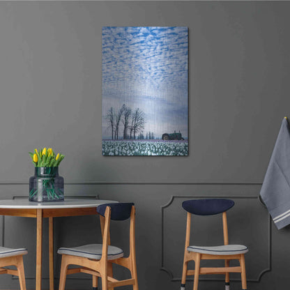 Luxe Metal Art  'Tractor Surrounded By Tulips'  by Don Schwartz, Metal Wall Art,24x36