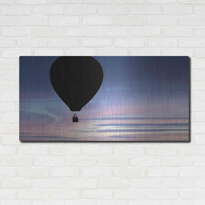 Luxe Metal Art  'Rising'  by Don Schwartz, Metal Wall Art,48x24