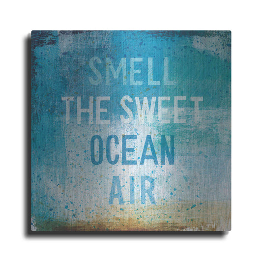 Luxe Metal Art 'Beachscape Abstract II' by Michael Mullan, Metal Wall Art